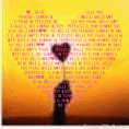 /album/galleria-fotografica/samp90aa9c822ae23603-gif/